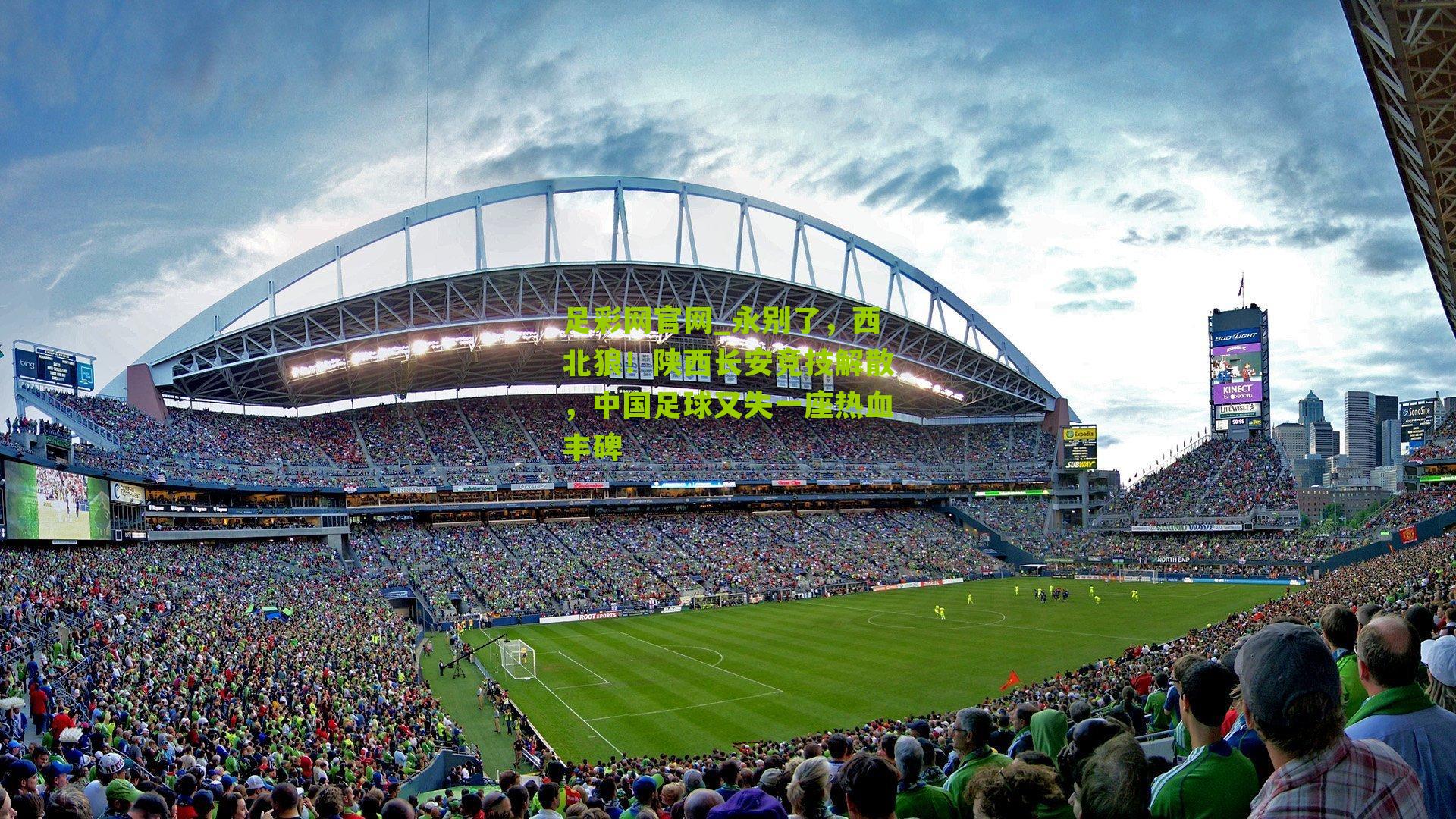 永别了，西北狼！陕西长安竞技解散，中国足球又失一座热血丰碑